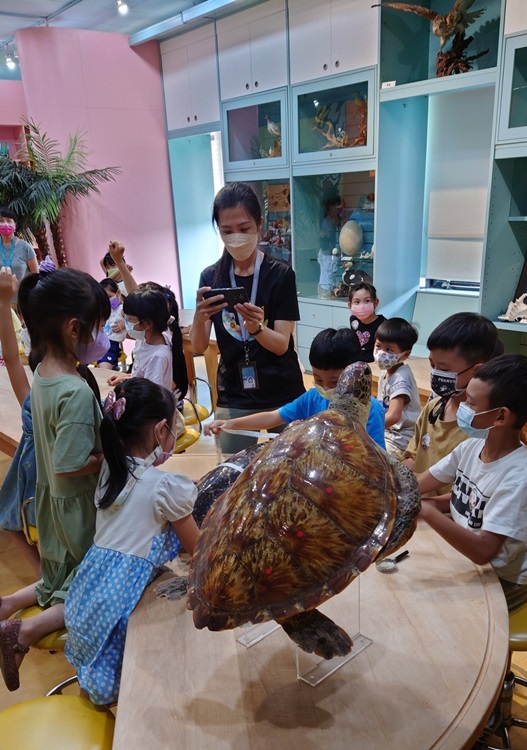 幼兒園：小海龜的超級任務(8/16-17)-圖片157