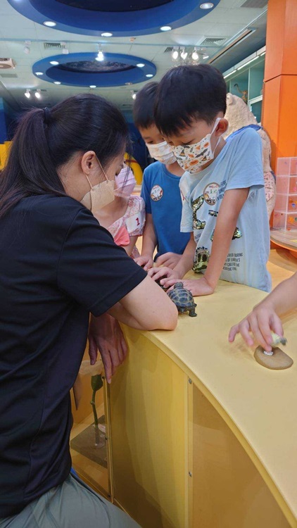 幼兒園：小海龜的超級任務(8/16-17)-圖片159