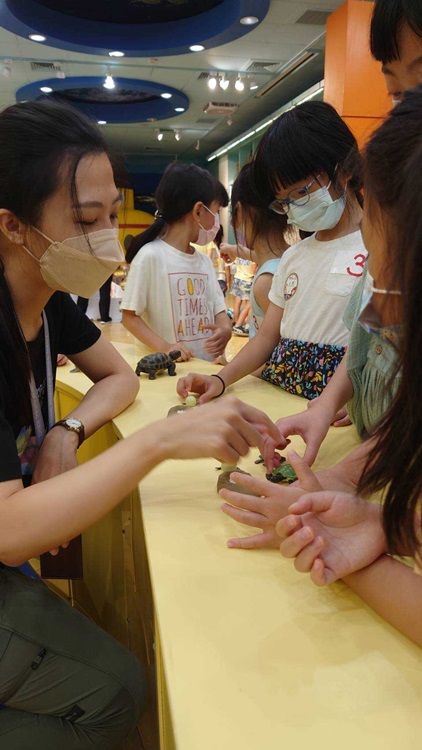 幼兒園：小海龜的超級任務(8/16-17)-圖片161