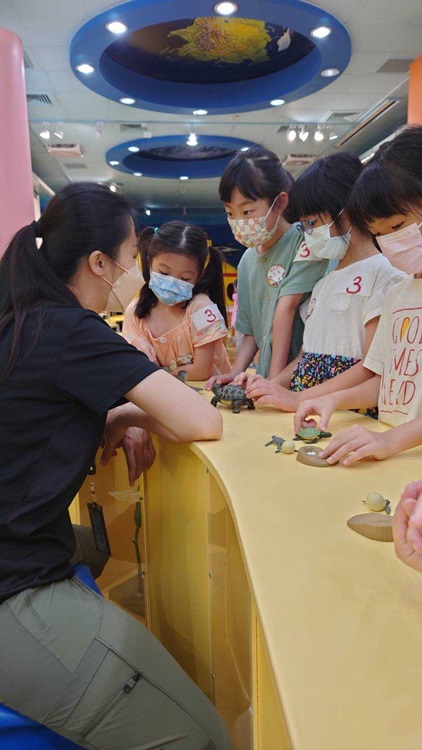幼兒園：小海龜的超級任務(8/16-17)-圖片162