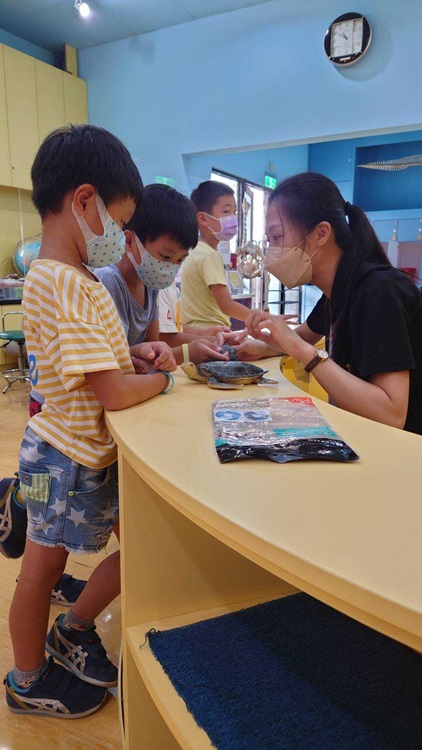 幼兒園：小海龜的超級任務(8/16-17)-圖片164