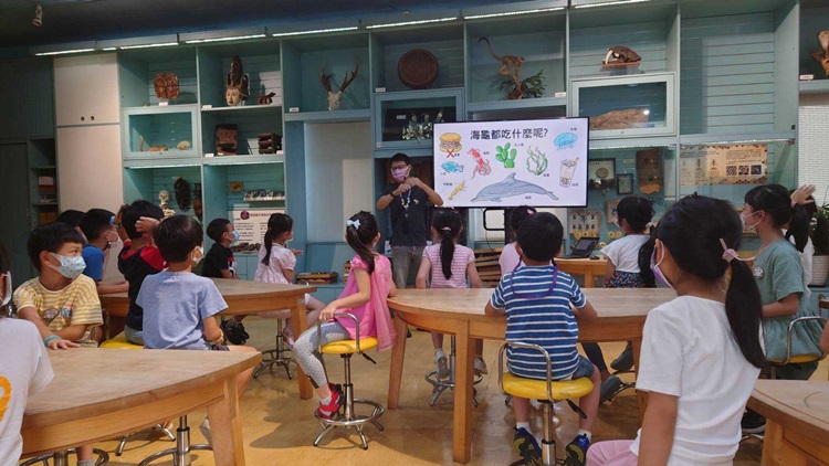 幼兒園：小海龜的超級任務(8/16-17)-圖片166