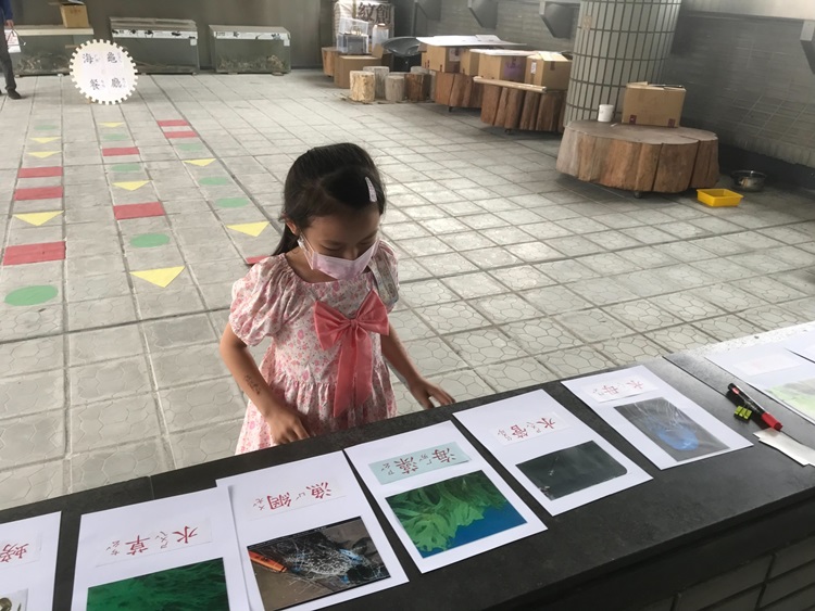 幼兒園：小海龜的超級任務(8/16-17)-圖片178