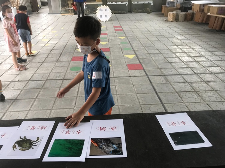 幼兒園：小海龜的超級任務(8/16-17)-圖片183