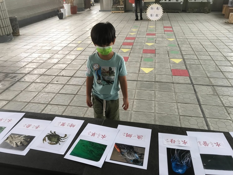 幼兒園：小海龜的超級任務(8/16-17)-圖片185