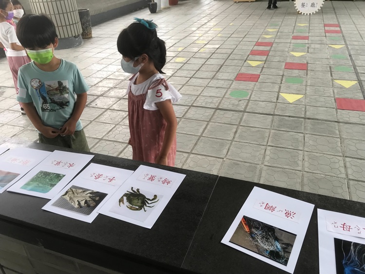 幼兒園：小海龜的超級任務(8/16-17)-圖片187