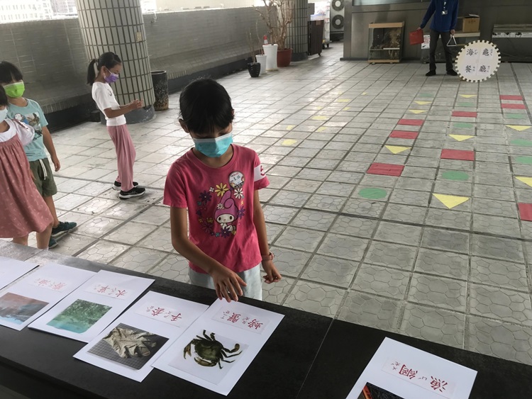 幼兒園：小海龜的超級任務(8/16-17)-圖片191