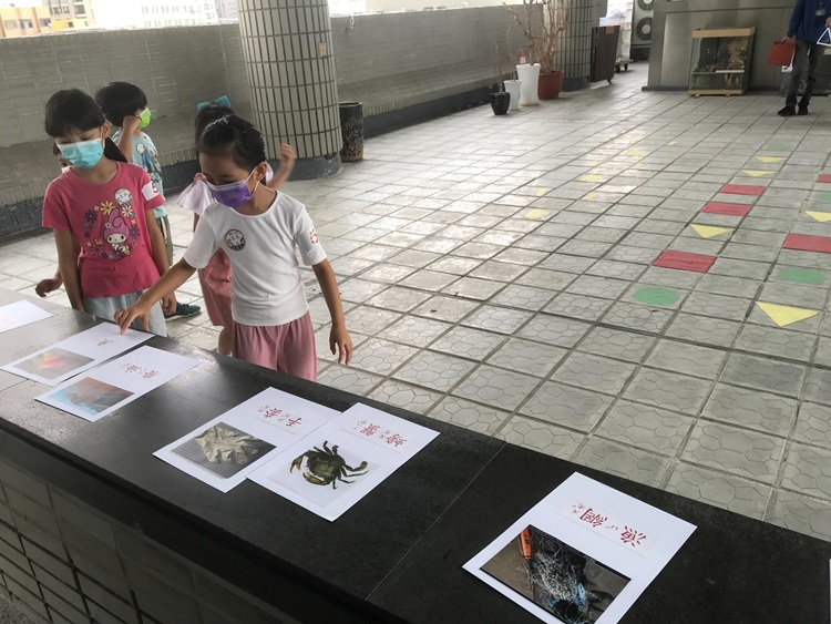 幼兒園：小海龜的超級任務(8/16-17)-圖片192