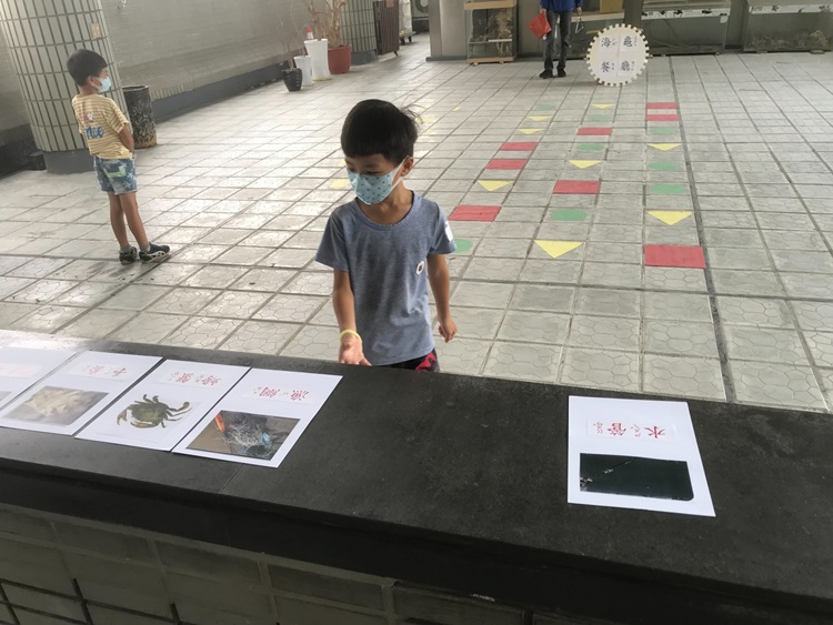 幼兒園：小海龜的超級任務(8/16-17)-圖片196