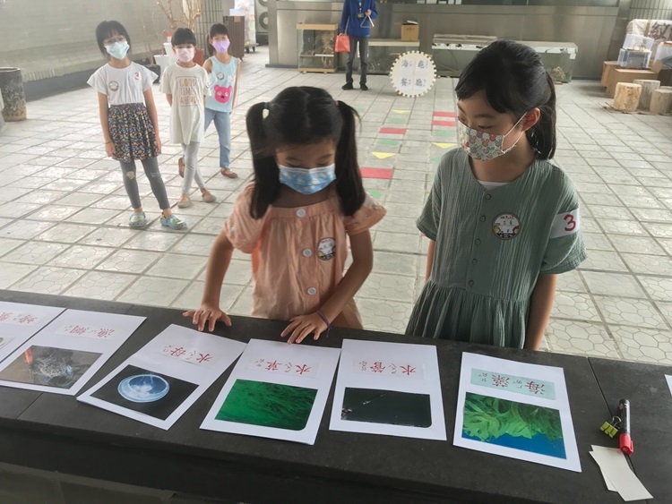 幼兒園：小海龜的超級任務(8/16-17)-圖片200