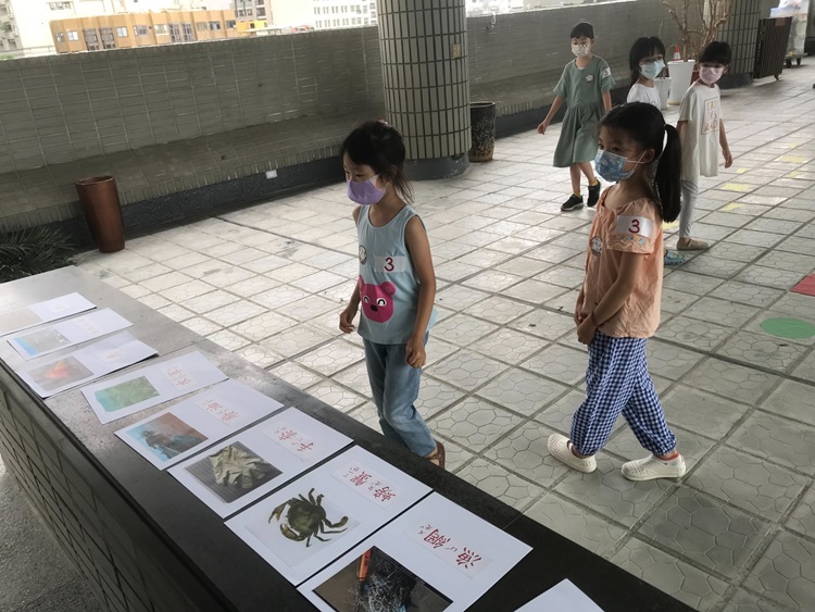 幼兒園：小海龜的超級任務(8/16-17)-圖片203