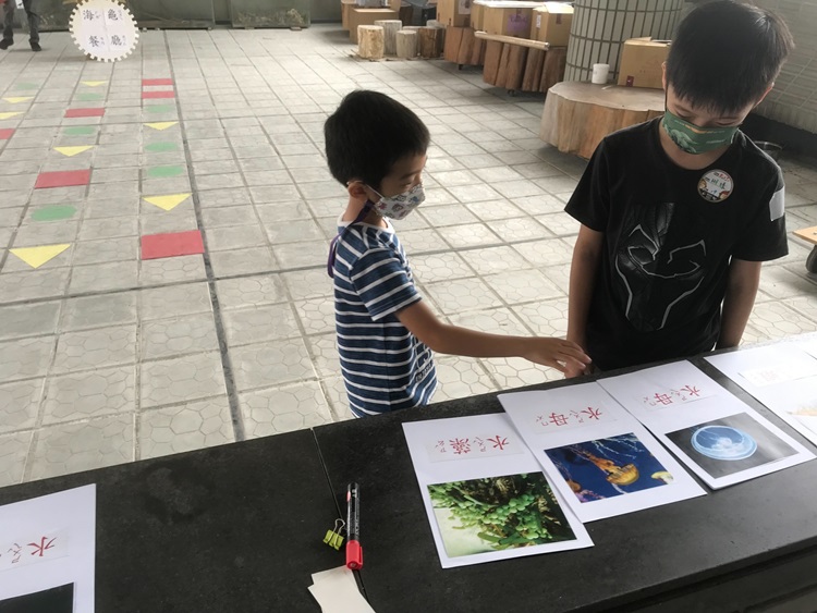 幼兒園：小海龜的超級任務(8/16-17)-圖片209