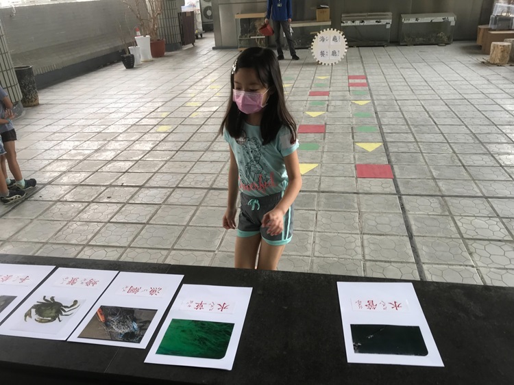 幼兒園：小海龜的超級任務(8/16-17)-圖片214