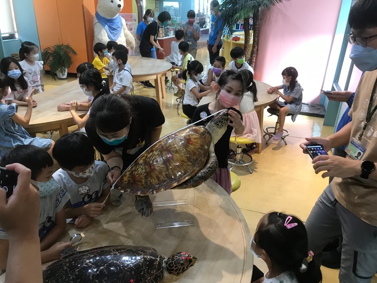 幼兒園：小海龜的超級任務(8/16-17)-圖片224