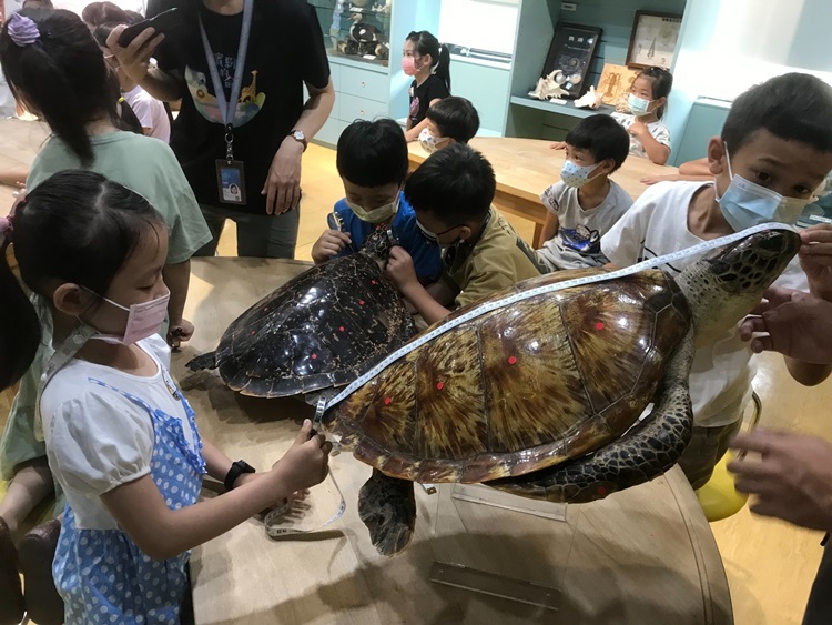 幼兒園：小海龜的超級任務(8/16-17)-圖片226