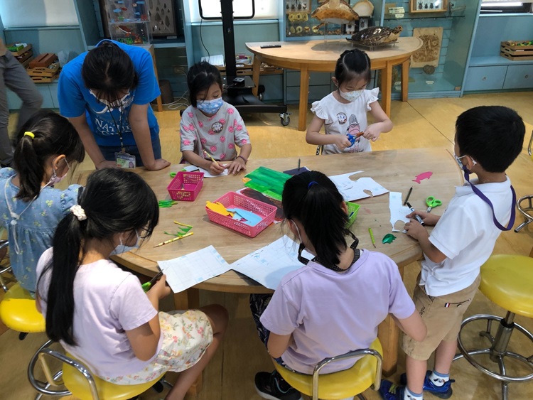 幼兒園：小海龜的超級任務(8/16-17)-圖片227