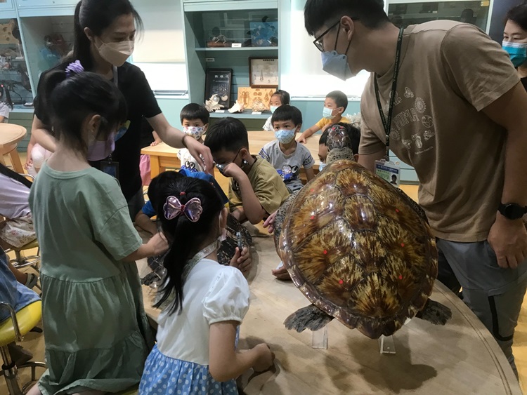幼兒園：小海龜的超級任務(8/16-17)-圖片228
