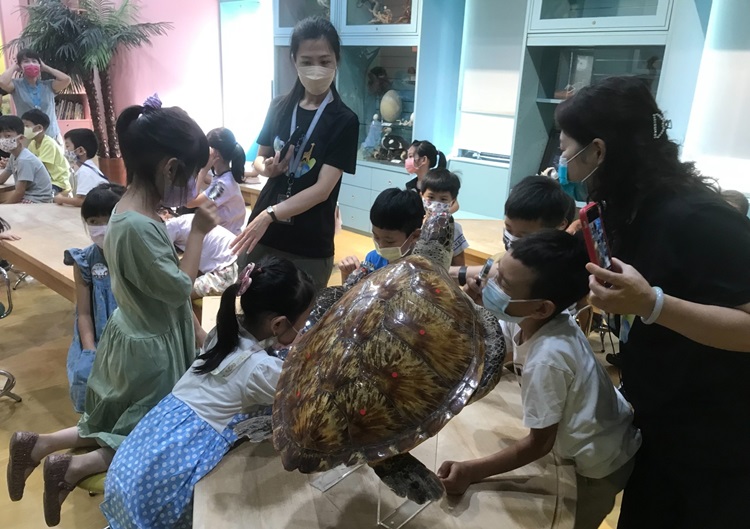 幼兒園：小海龜的超級任務(8/16-17)-圖片229