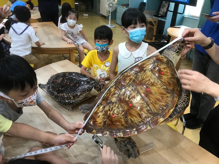 幼兒園：小海龜的超級任務(8/16-17)-圖片233