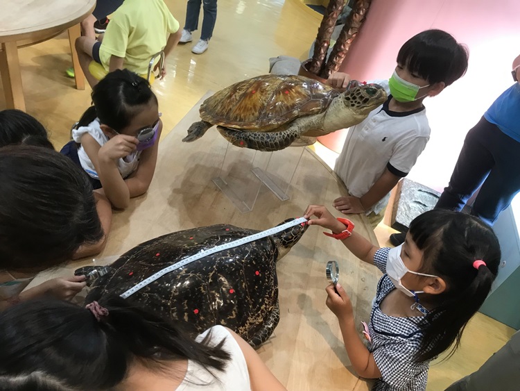幼兒園：小海龜的超級任務(8/16-17)-圖片234