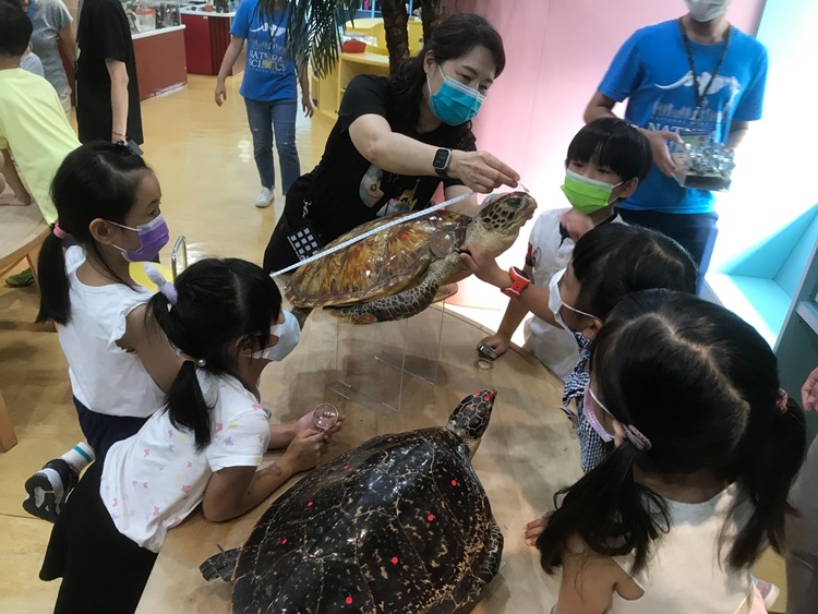 幼兒園：小海龜的超級任務(8/16-17)-圖片235