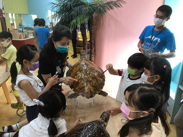 幼兒園：小海龜的超級任務(8/16-17)-圖片236