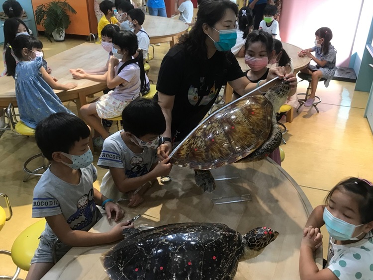 幼兒園：小海龜的超級任務(8/16-17)-圖片237