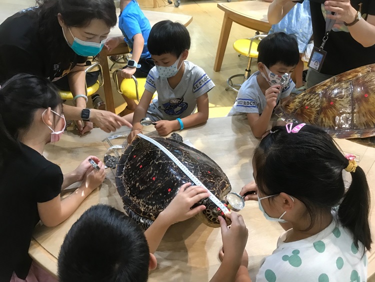 幼兒園：小海龜的超級任務(8/16-17)-圖片239