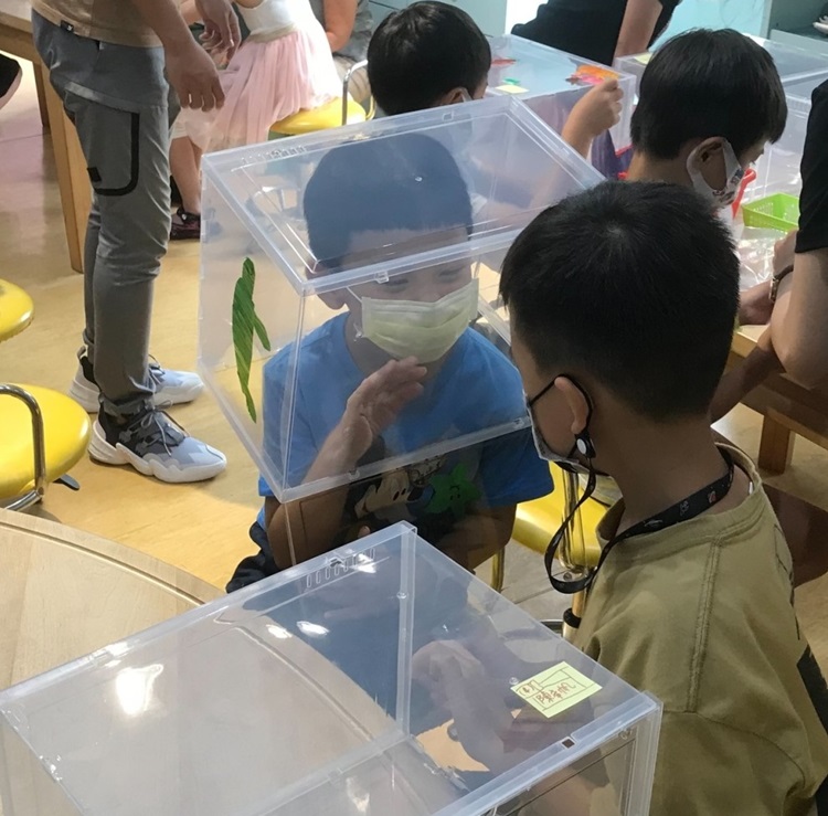 幼兒園：小海龜的超級任務(8/16-17)-圖片258