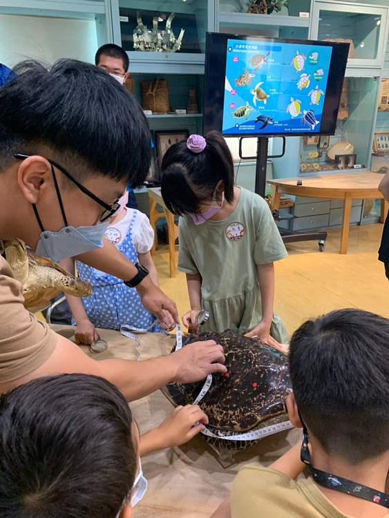 幼兒園：小海龜的超級任務(8/16-17)-圖片262