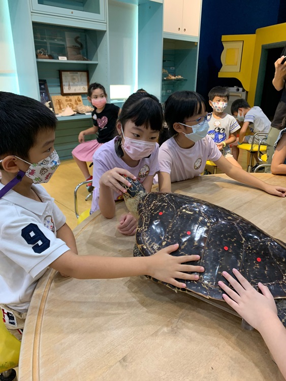 幼兒園：小海龜的超級任務(8/16-17)-圖片263