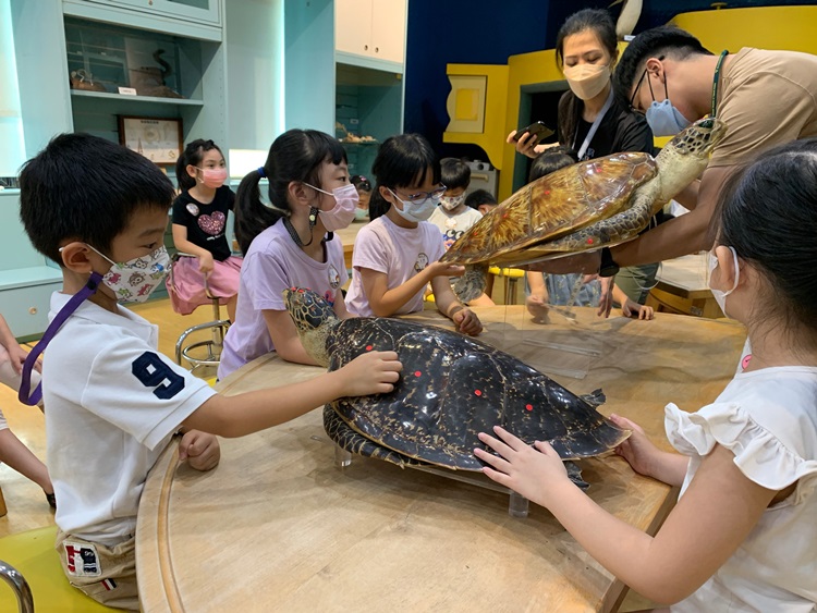 幼兒園：小海龜的超級任務(8/16-17)-圖片264