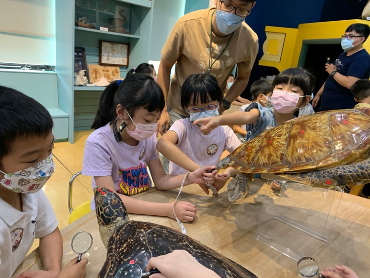 幼兒園：小海龜的超級任務(8/16-17)-圖片265