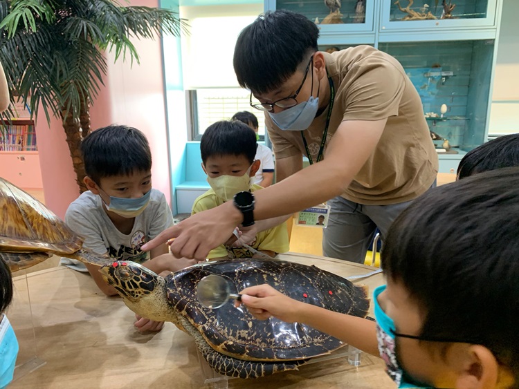 幼兒園：小海龜的超級任務(8/16-17)-圖片266
