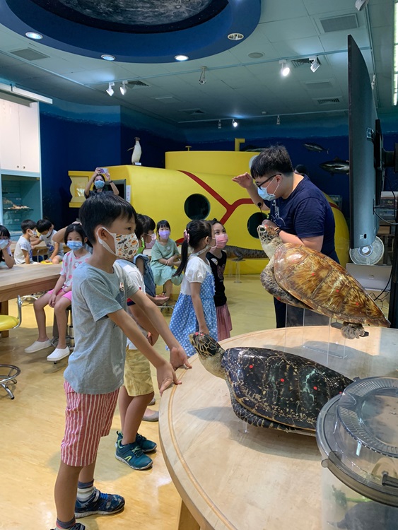 幼兒園：小海龜的超級任務(8/16-17)-圖片267
