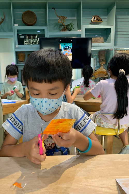 幼兒園：小海龜的超級任務(8/16-17)-圖片274