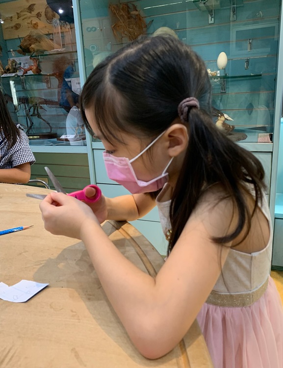 幼兒園：小海龜的超級任務(8/16-17)-圖片276