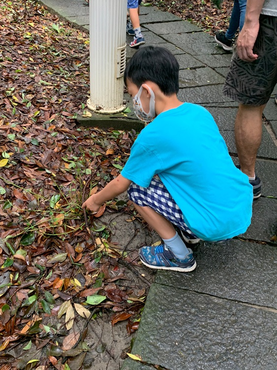 幼兒園：與植物做朋友(9/4)-圖片10