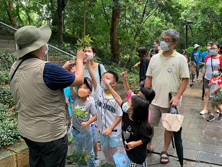 幼兒園：與植物做朋友(9/4)-圖片12