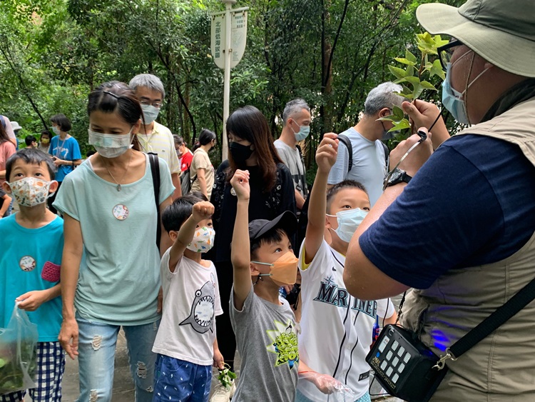 幼兒園：與植物做朋友(9/4)-圖片14