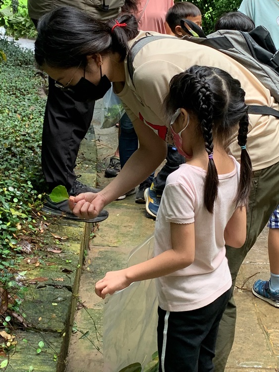 幼兒園：與植物做朋友(9/4)-圖片18
