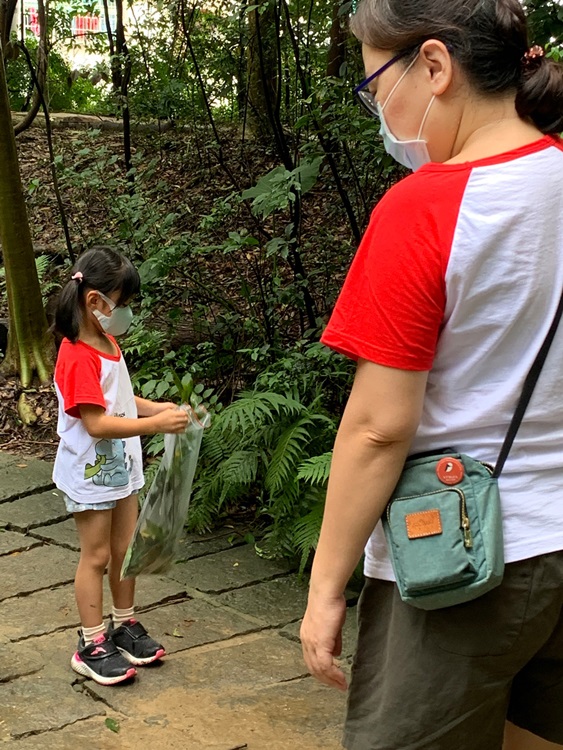 幼兒園：與植物做朋友(9/4)-圖片19
