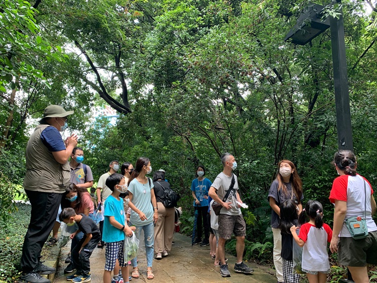 幼兒園：與植物做朋友(9/4)-圖片21