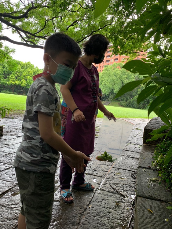 幼兒園：與植物做朋友(9/4)-圖片32