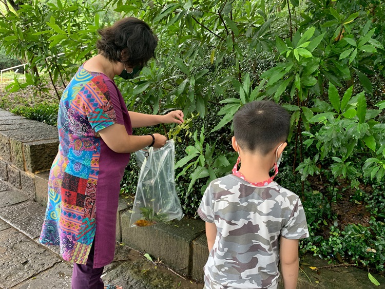幼兒園：與植物做朋友(9/4)-圖片33