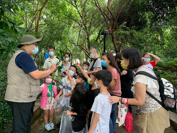 幼兒園：與植物做朋友(9/4)-圖片34