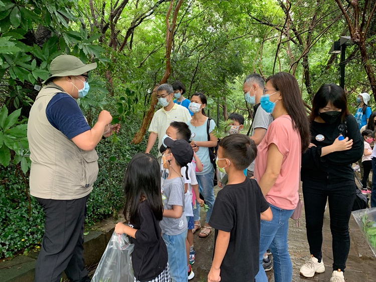 幼兒園：與植物做朋友(9/4)-圖片36