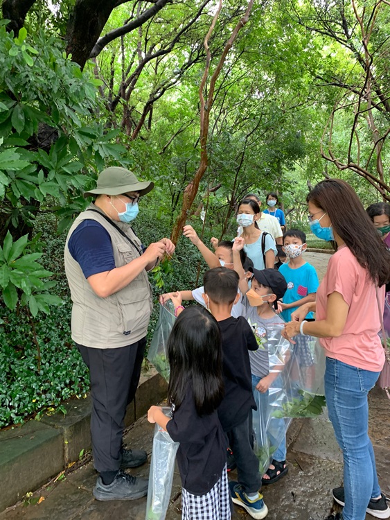 幼兒園：與植物做朋友(9/4)-圖片37