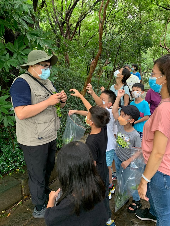 幼兒園：與植物做朋友(9/4)-圖片38