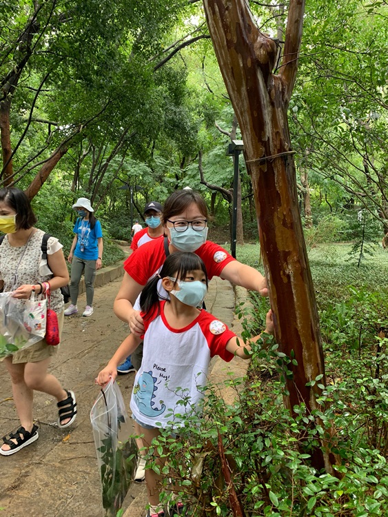 幼兒園：與植物做朋友(9/4)-圖片39